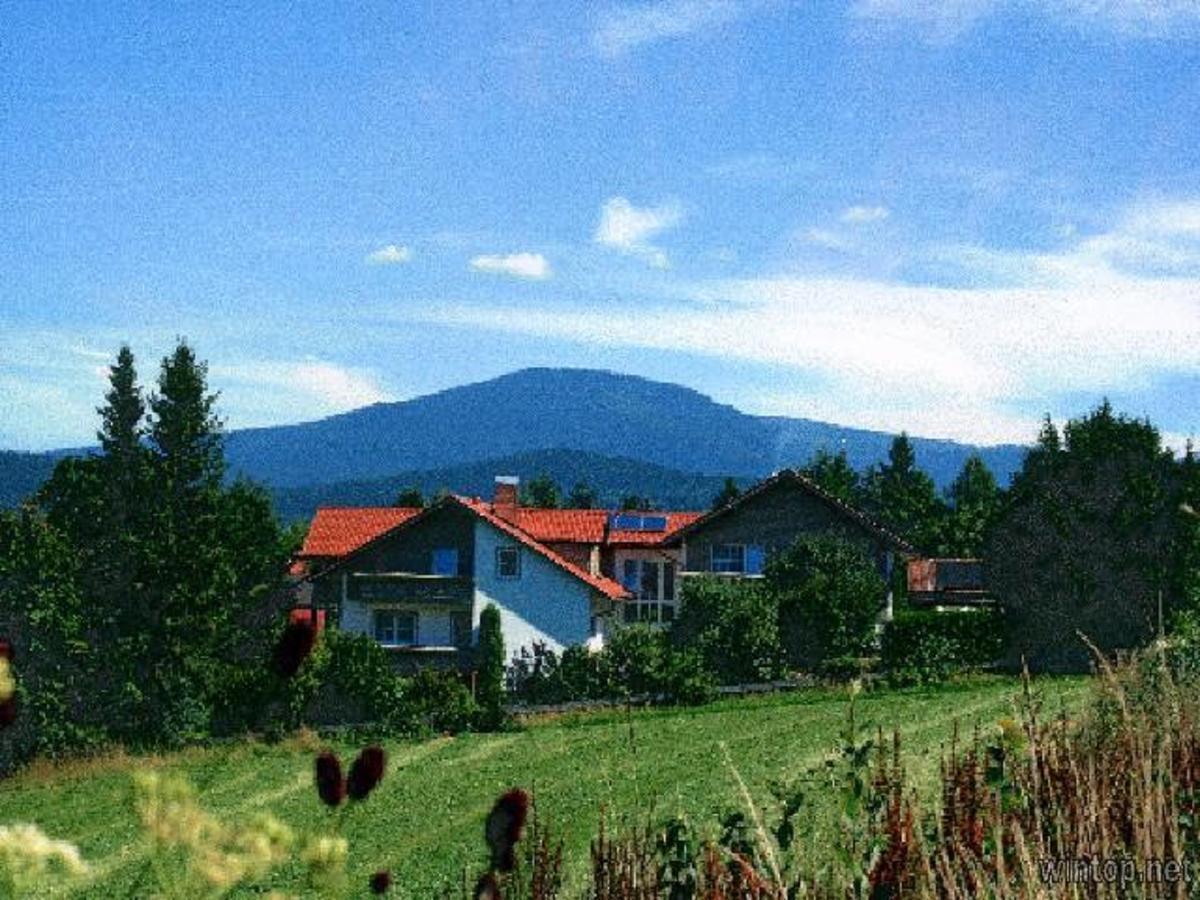 Pension Landhaus Hochfeld Zwiesel Exteriér fotografie